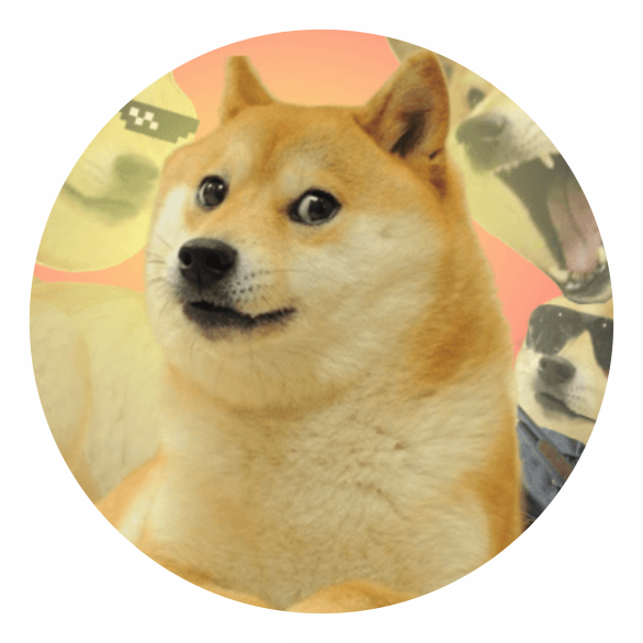 DogeSolCoin