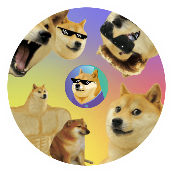 DogeSolCoin